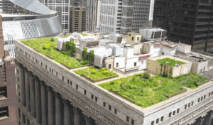 green-roofs