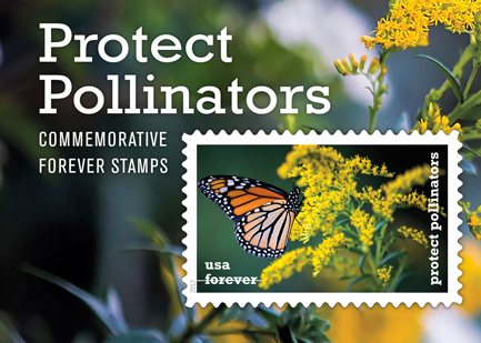 newsroom-pollinators_433x309